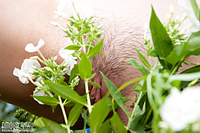 Pictures of erotic teens in backyard