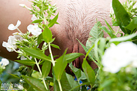 Pictures of erotic teens in backyard