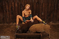 Nudity among pigs