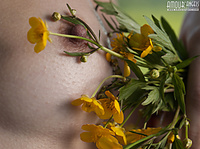 Teen gallerys sample