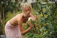 Free pictures of women having amour angels