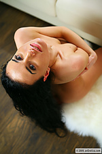 Beauty pictures links tit