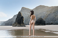 Free teen thong pictures