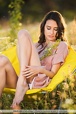 Free amateur softcore pics