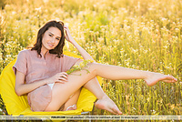 Free amateur softcore pics