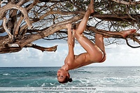 Femjoy nude photo gallery