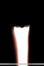 Free softcore pictures the best