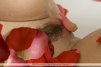 Erotic beauties pictures free