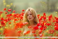  we can make it birgid and kirsten were recently invited out into the open flower fields of france to do a photoshoot with our on-location femjoy photographer. He found the two beauties working at a clothing store in paris together, and after the conversa