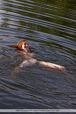  the lake house couple euro teen erotica gallery teen 18 female