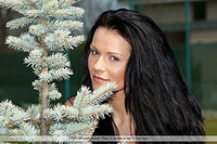  wishes free erotic adult series teen naked pics