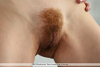  beauty queen teens hq erotica pics scenes teens hq erotica pics scenes