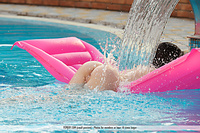 Softcore photography art gallery