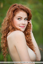 Free gallery pictures