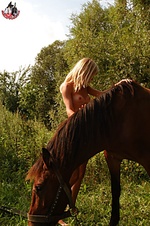 Roundish humps race on the horse.