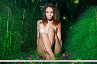 Free softcore photography softcore photos free gallerys of naked girls