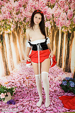 Free softcore photography gallerys online