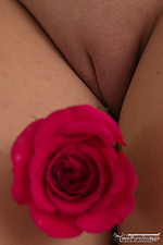 Free teen blowjob pictures