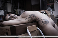 Adult image gallery the life erotic