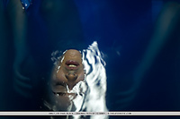 Amateur euro teen erotica sex